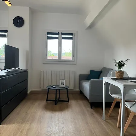Le Golden De Avec Garage Prive Appartement *